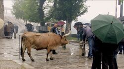 Фото Чудо Святого Антония