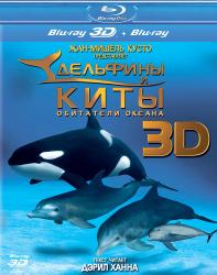 Фото Дельфины и киты 3D