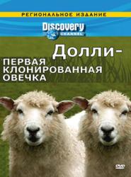 Фото Discovery: Долли — первая клонированная овечка