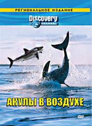 Фото Discovery: Акулы в воздухе