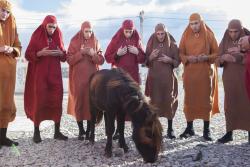 Фото Джеки в царстве женщин