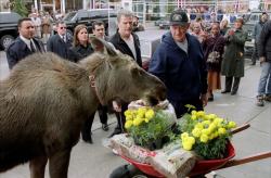 Фото Добро пожаловать в Музпорт