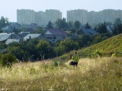 Фото Дом, в котором мы жили