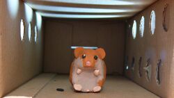 Фото Hamster Hell