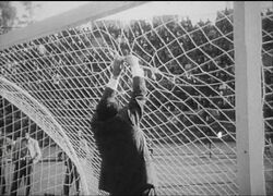 Фото Кубок мира по футболу в Чили 1962 года