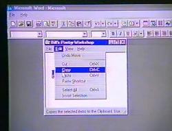 Фото Microsoft Windows 95 Video Guide