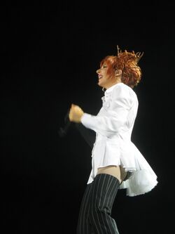 Фото Mylène Farmer: Stade de France