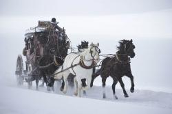 Фото Омерзительная восьмерка