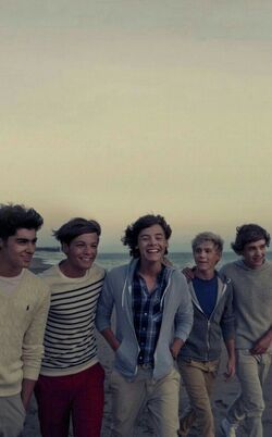 Фото One Direction: What Makes You Beautiful