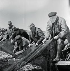 Фото Письма с острова чудаков