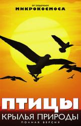 Фото Птицы: Крылья природы