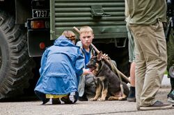 Фото Путевка в жизнь