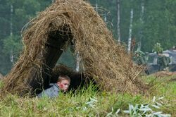 Фото Путевка в жизнь