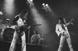 Обои Queen: Live in Bohemia