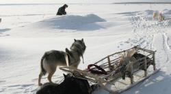 Фото Счастливые люди: Год в тайге