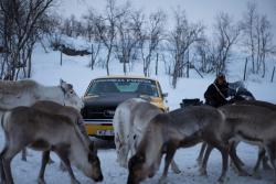 Фото Скандинавский форсаж: Гонки на льду