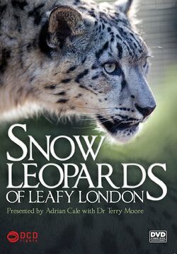 Фото Snow Leopards of Leafy London