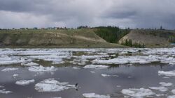 Фото Современные герои Арктики