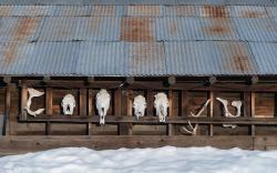 Фото Свет моей жизни