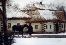 Фото Тарас Бульба