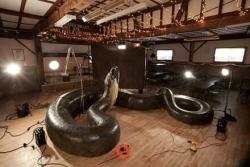 Фото Titanoboa: Monster Snake