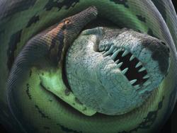 Фото Titanoboa: Monster Snake