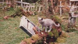 Фото Unearthed & Untold: The Path to Pet Sematary