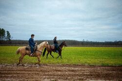 Фото В поисках Адама