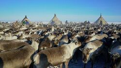 Фото Великий северный путь