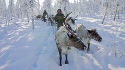 Фото Великий северный путь