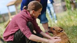 Фото Воспитание и выгул собак и мужчин