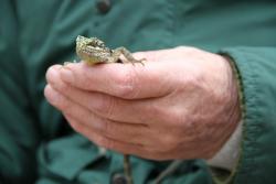 Фото Восстание животных: Триумф позвоночных