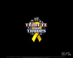 Фото WWE Tribute to the Troops