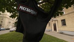 Фото Здравствуй, дерево!