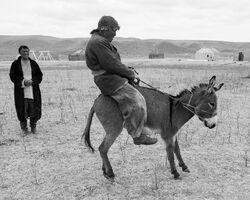 Фото Земля, остановившая ветер