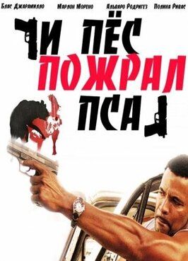 И пес пожрал пса - лучший фильм в фильмографии Марлейда Сото