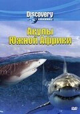 Discovery: Акулы Южной Африки - лучший фильм в фильмографии Крэйг Доббин