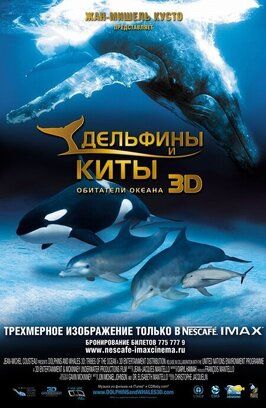 Фильм Дельфины и киты 3D.