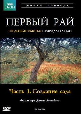 Первый Рай - лучший фильм в фильмографии Эндрю Нэйлор