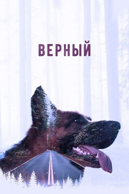 Фильм Верный.