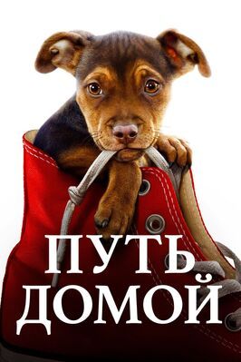 Путь домой из фильмографии Дебра Нил Фишер в главной роли.