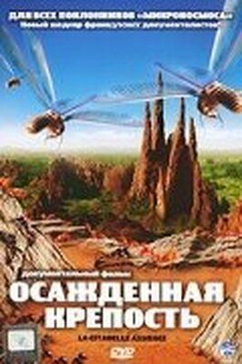 Фильм Осажденная крепость.