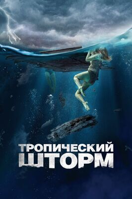 Тропический шторм - лучший фильм в фильмографии Мэтт С. Белл