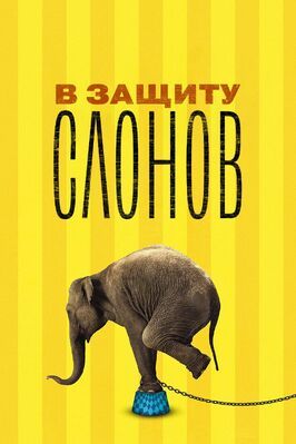 В защиту слонов - лучший фильм в фильмографии Скотт Синклер