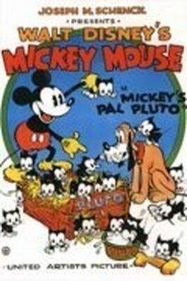 Mickey's Pal Pluto из фильмографии Дон Броди в главной роли.