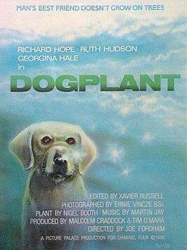 Dogplant - лучший фильм в фильмографии Джо Фордхэм