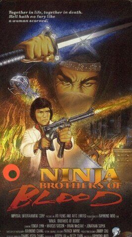 Фильм Ninja Knight Brothers of Blood.