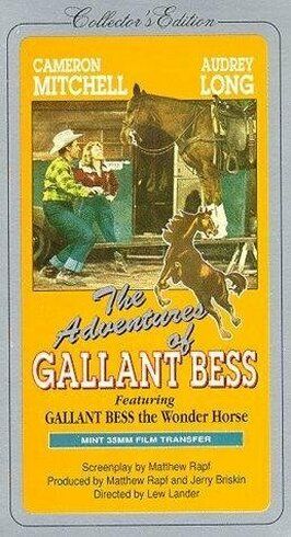 Adventures of Gallant Bess - лучший фильм в фильмографии Джерри Брискин