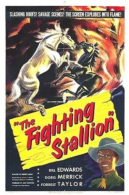 Фильм The Fighting Stallion.