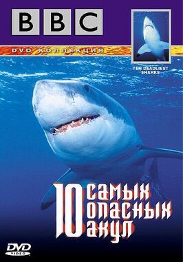 Фильм BBC: 10 самых опасных акул.